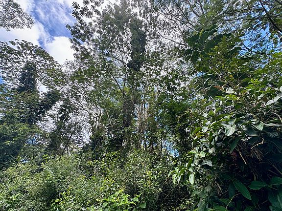 2nd image of Plumeria Rd Lot 390