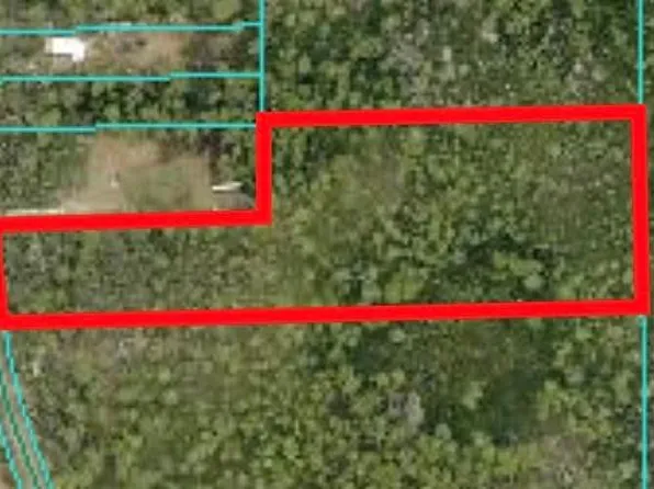 NE 130th Ct, Fort Mc Coy, FL 32134