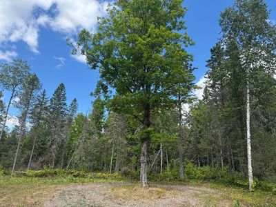 4074 W Weber Rd, Mercer, WI, 54547