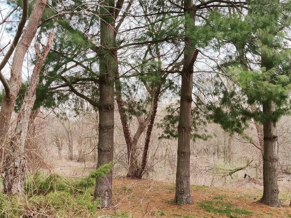 4231 Iffland Rd, Blissfield, MI 49228