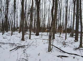 Lot Amy Dr, Lake City, MI 49651