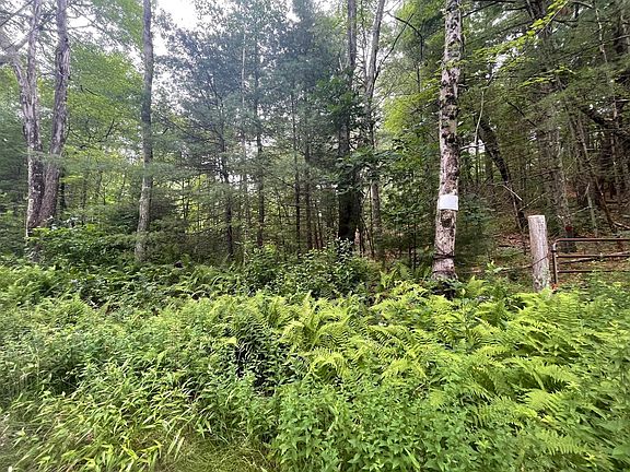 4th image of 89 Robinson Rd