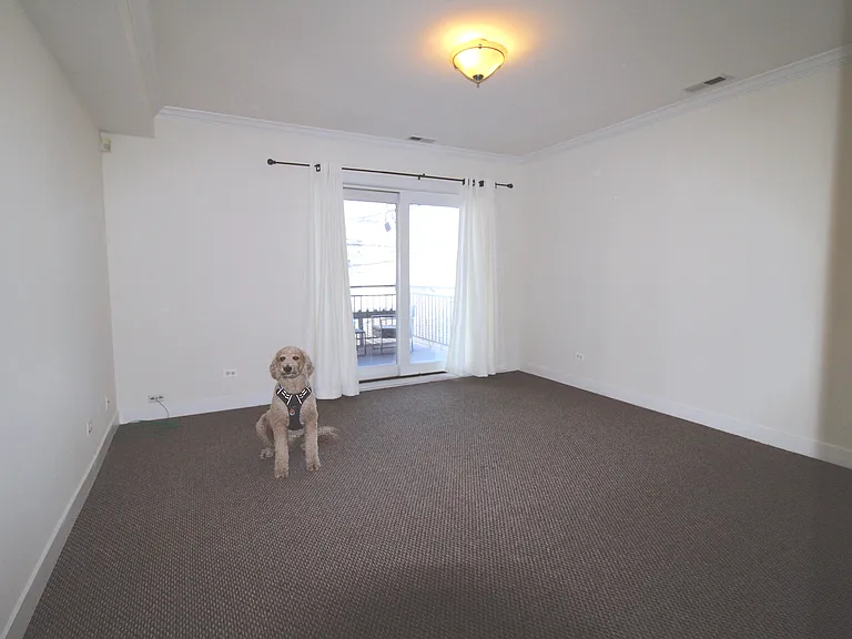 917 N Ashland Ave #2 — Photo 18