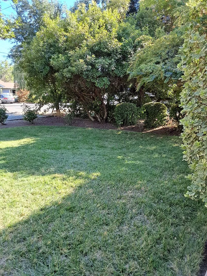 3 bed/1.5 bath on large corner lot — Photo 4