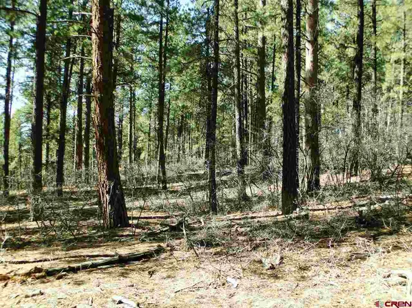357 Forest Lakes Dr, Bayfield, CO 81122