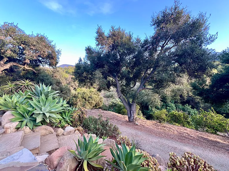 6214 Casitas Pass Rd — Photo 7