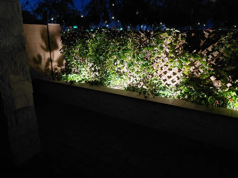 Backyard planter with night lighting