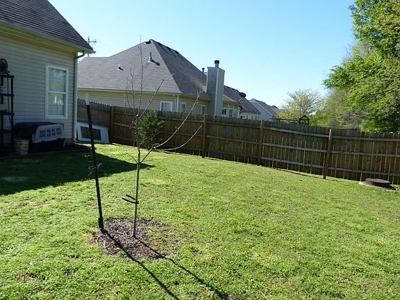 Fenced back yard
