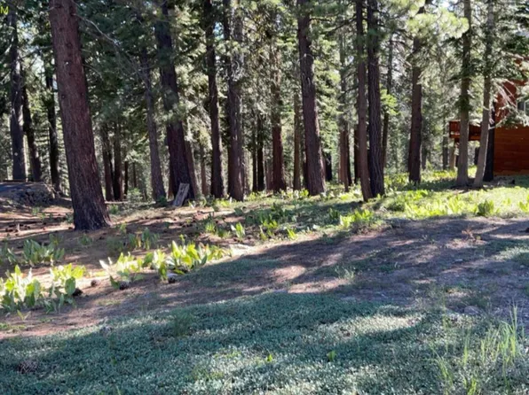 14358 Hansel Ave, Truckee, CA 96161