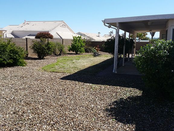 Back Yard facing east