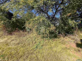 101 Hohman St, Big Sandy, TX 75683