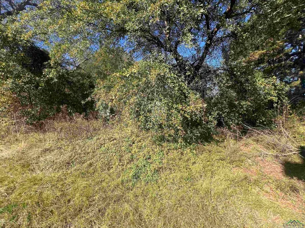 101 Hohman St, Big Sandy, TX 75683