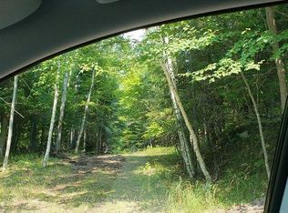 Sawmill Point Rd, Barbeau, MI 49710