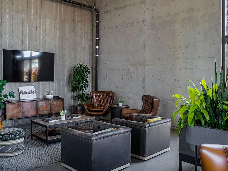 ** The Union ** Luxury and Modernity ** — Photo 5