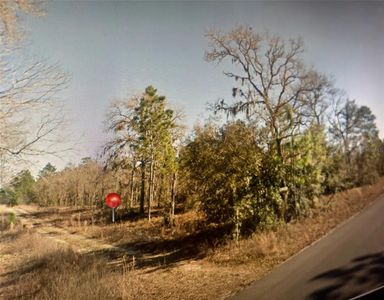 16-13-18 SW Williston Hylnds Golf & C Club Est #9, Williston, FL, 32696