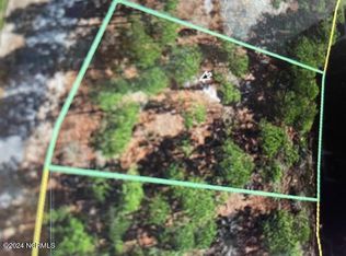 511 N Horsepen North Dr, Harrells, NC 28444