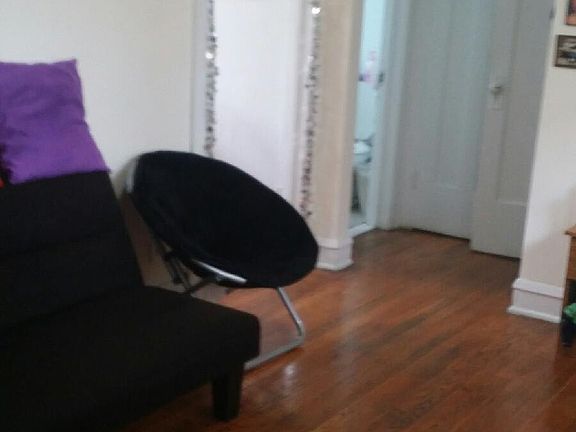 5th image of 1755 W Albion Ave APT 1C