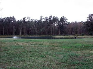 12890 Nungezer Rd, Jacksonville, FL 32226