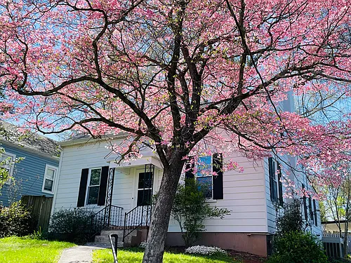 20 Terry St Photo 1