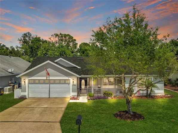 236 Oak Chase Pl, Davenport, FL 33896