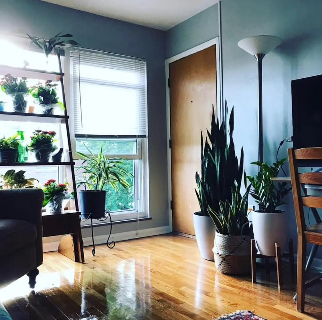 2 bed, 1000 sqft, $1,375 — Photo 2