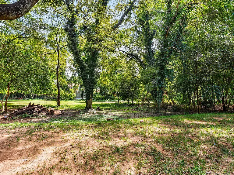 Backyard.