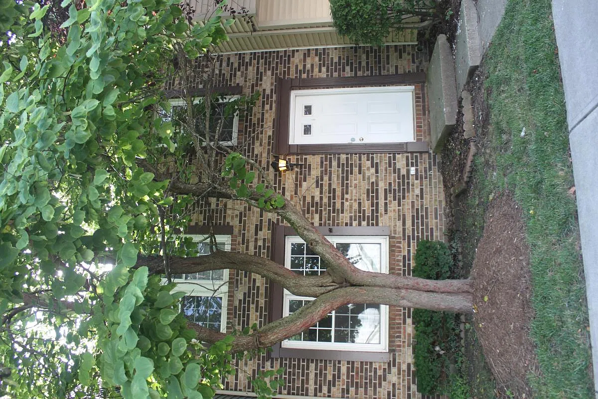 3 bed, 1280 sqft, $1,300 — Photo 3