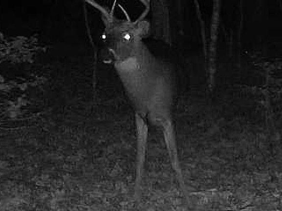 32nd image of this home