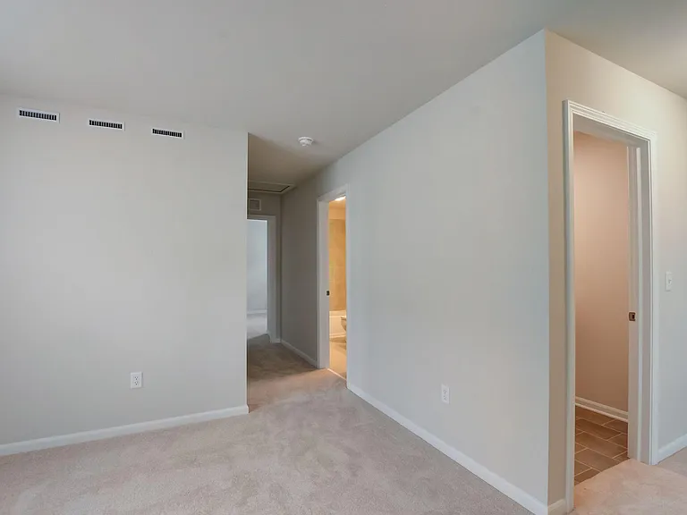 Elburn Station Single Family Homes — Photo 45