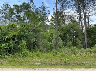 10730 Beckenger Ave, Hastings, FL 32145