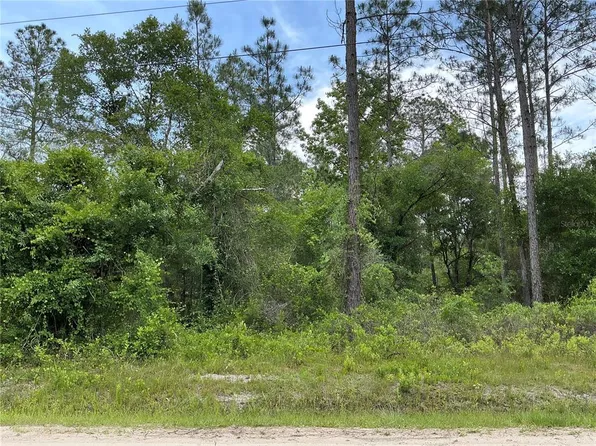 10730 Beckenger Ave, Hastings, FL 32145