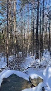 361 Old Franconia Road, Bethlehem, NH, 03574