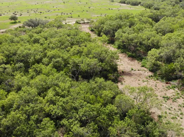 000 6th Street LOT 51-58, Christine, TX 78064