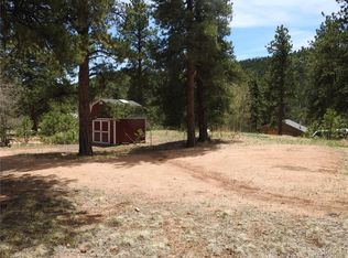 21 Appleby St, Bailey, CO 80421