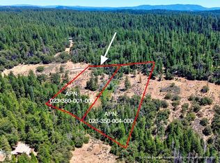 19421 Ponderosa Dr, Pioneer, CA 95666