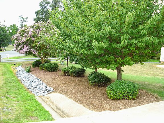 3rd image of 809 Winterberry Dr