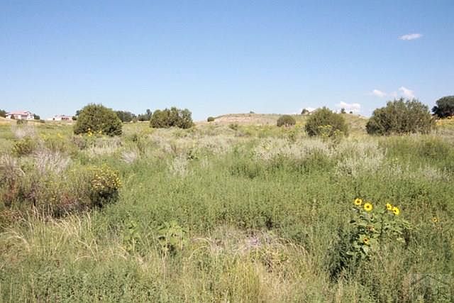 1st image of 1433 W Camino De Los Ranchos Ln