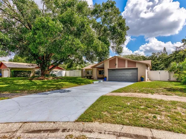 13805 Candidate Pl, Tampa, FL 33613