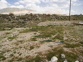 5th image of 15679 Packsaddle Dr