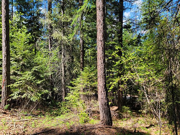 2nd image of 263 Twin Lakes Rd