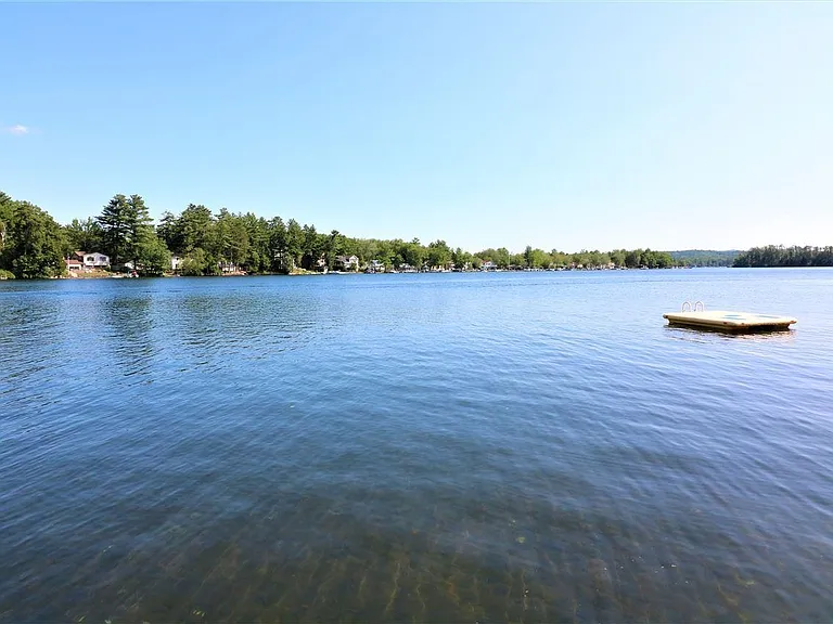 1011 Laconia Rd #4 — Photo 23