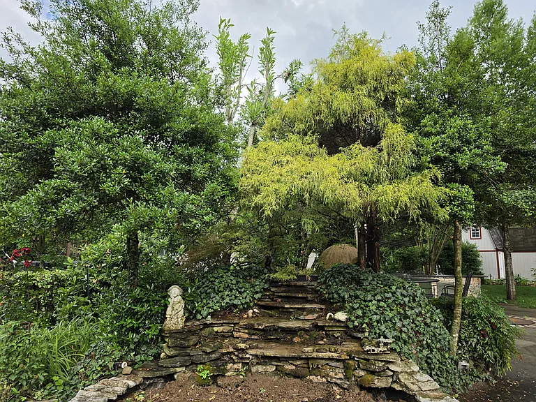 218 Colt Dr — Photo 18