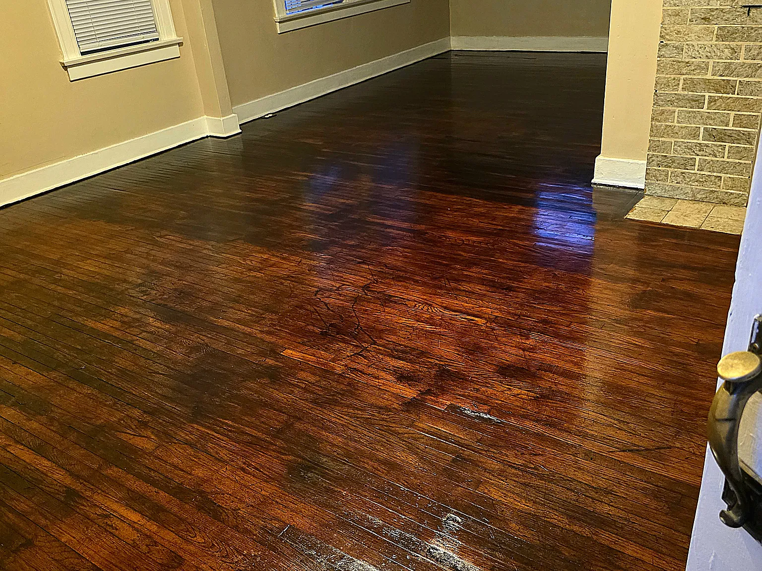 1 bed, 750 sqft, $2,000 — Photo 2