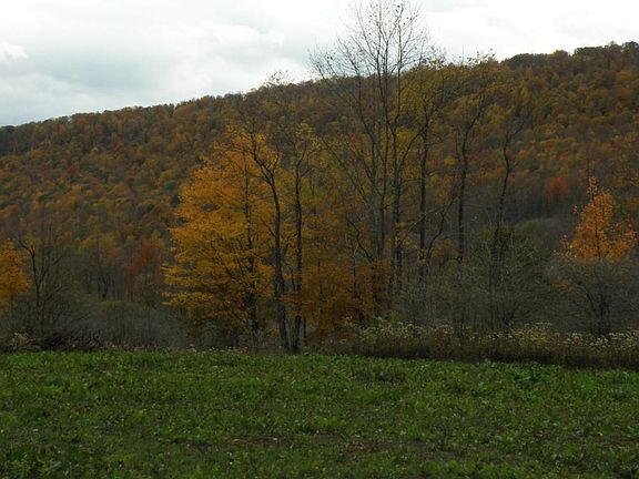 3rd image of Gregory Hollow Road
