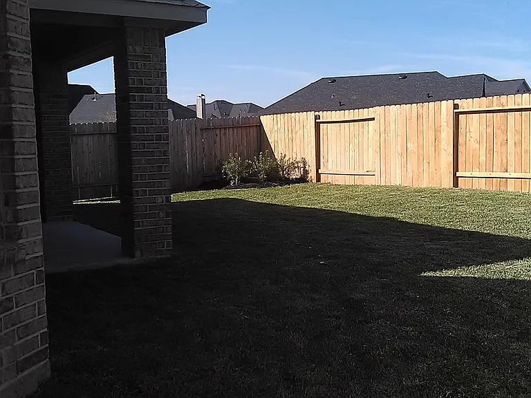 Backyard