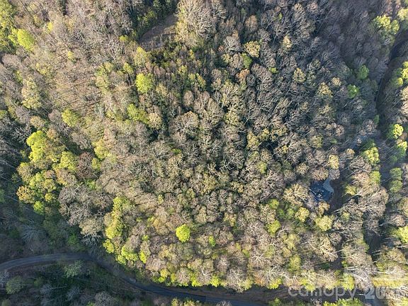 4th image of 58 Mountain Azalea Dr