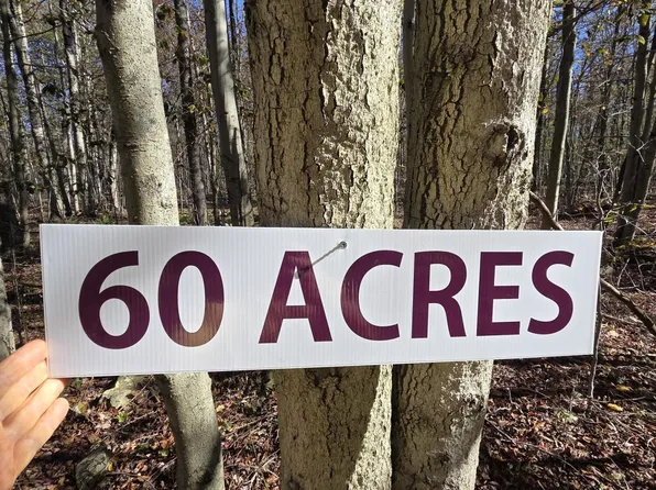 State Park Rd, Gouldsboro, PA 18424