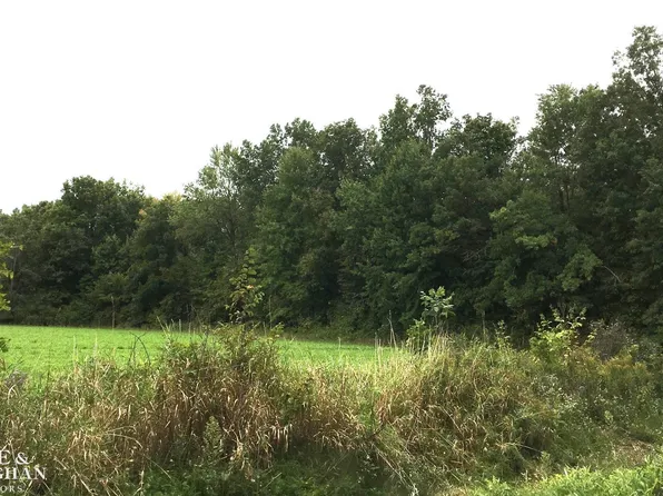 V L Adair Rd, Casco, MI 48064