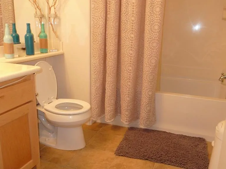 49002 Cinnamon Fern Cmn #503 — Photo 11