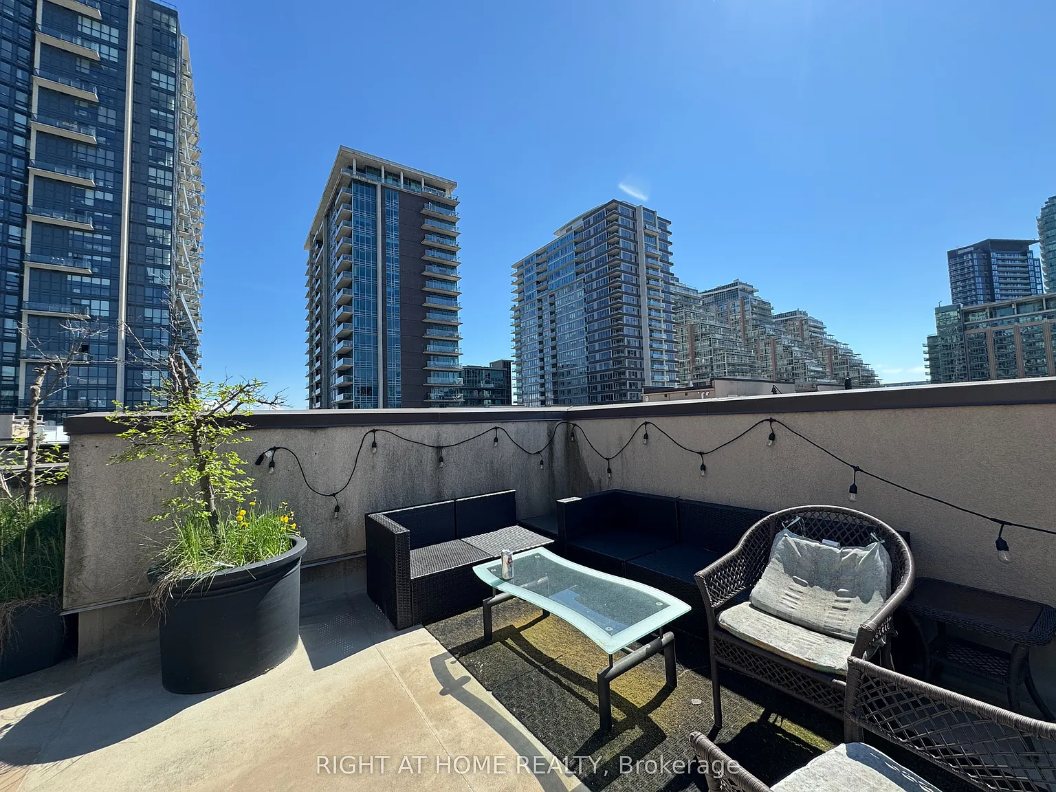 2 bed, $3,800 — Photo 3